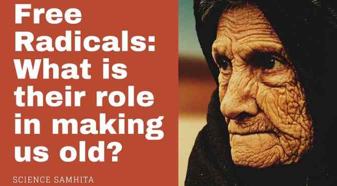 Free Radicals: What is their role in making us old?