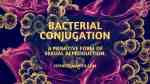 bacterial-conjugation